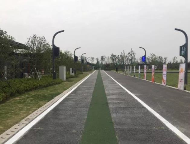 立个FLAG：9012，我们都会被科技宠溺成咸鱼