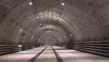 立个FLAG：9012，我们都会被科技宠溺成咸鱼