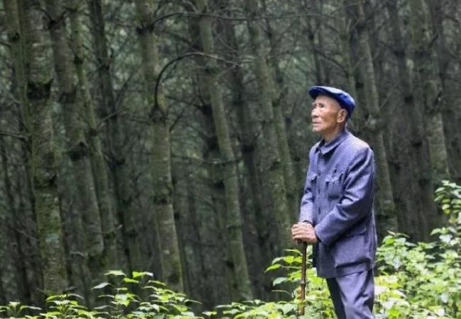 让文明成为时代的底色