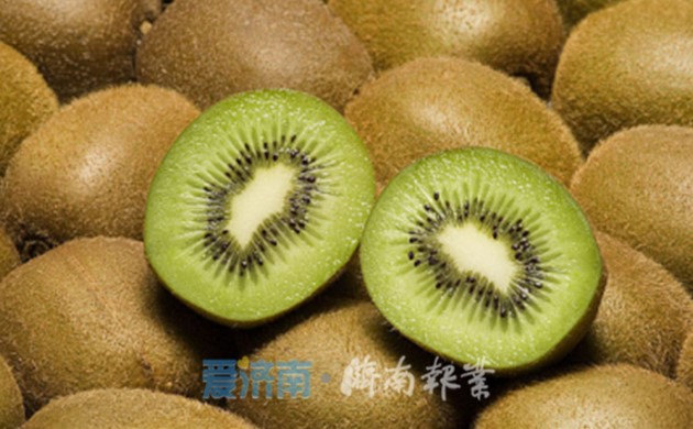 【我在湘西种棵树】“十佳义工”带头,托起湘西果农致富梦想