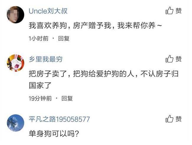 惊呆了！女子将遗产留给狗是什么情况？这到底是怎么一回事？