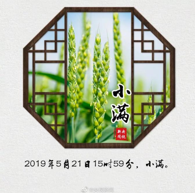今天,小滿