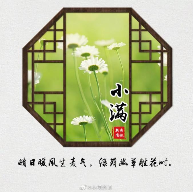 今天,小滿
