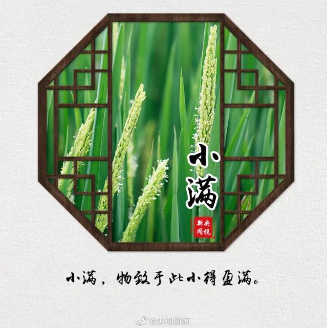 今天,小滿