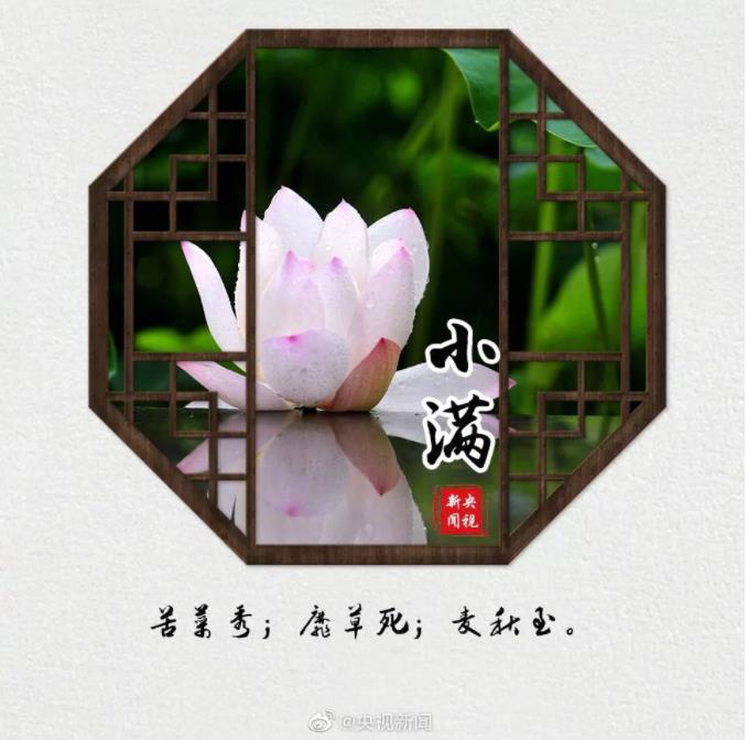 今天,小滿