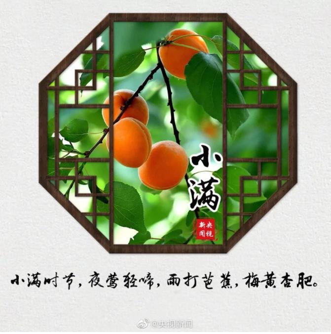 今天,小滿