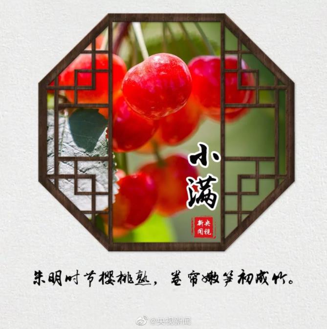 今天,小滿
