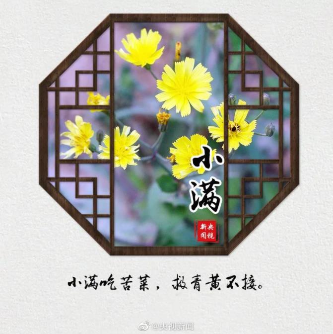 今天,小滿