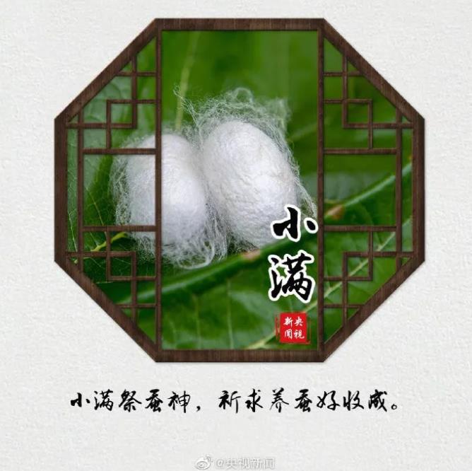 今天,小滿