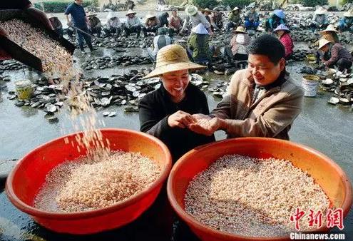 珍珠、童裝、羽毛球……產量領先全球,浙江超猛小鎮橫掃全世界!