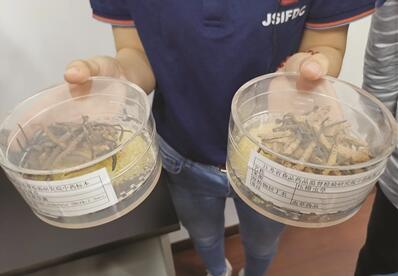 治疗小感冒或踩中用药的