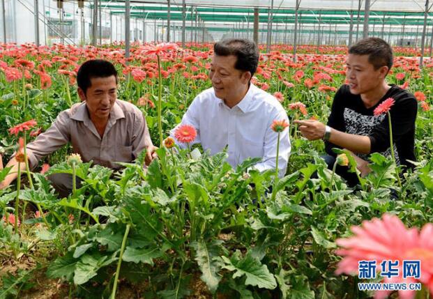 图文故事丨他们，习近平在指示批示中高度评价