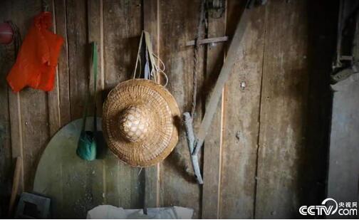 【边疆党旗红】界碑下，老党员杨天才的35年坚守