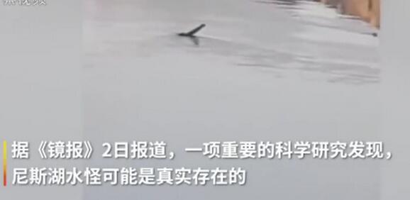 最新研究:尼斯湖水怪可能真的存在 DNA分析水怪之谜,真相竟是这样