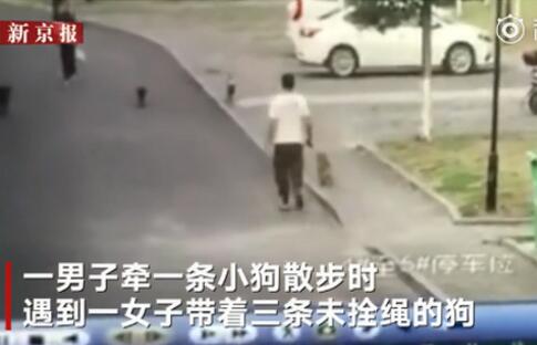 真相惊人!护狗反被咬具体什么情况?原来因为这么回事