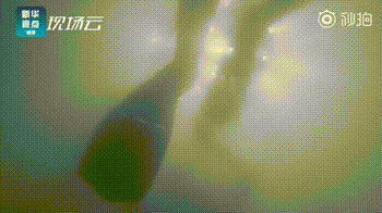 光是看画面，就已经被这些训练吓到了……