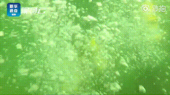 光是看画面，就已经被这些训练吓到了……