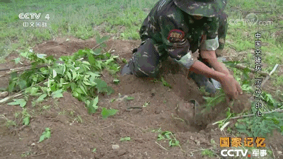 光是看画面，就已经被这些训练吓到了……