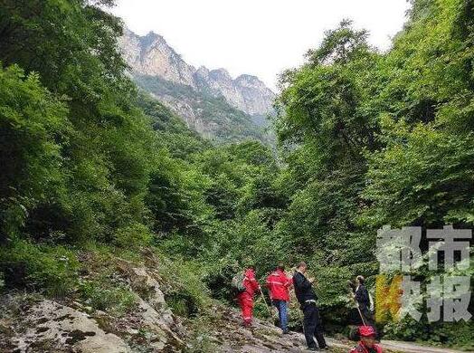 惊呆了!博士进山遭熊袭击是什么情况?这到底是怎么一回事