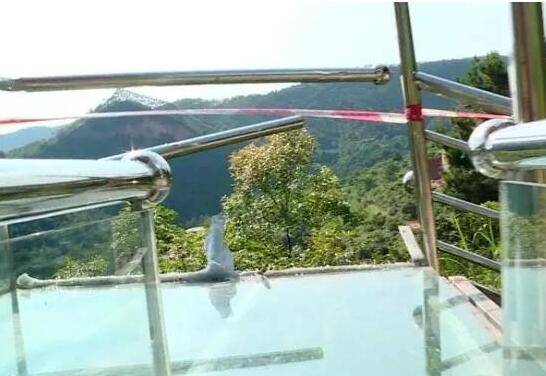 惊呆了!游客撞破滑道护栏是什么情况?详情始末曝光终于真相了?