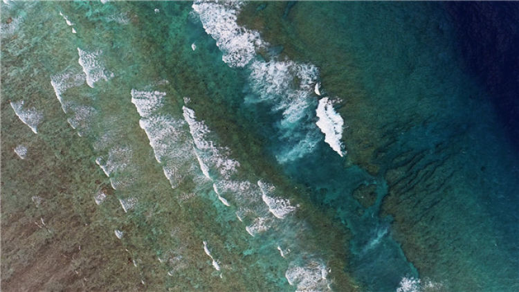 “你在我的航程上，我在你的视线里”