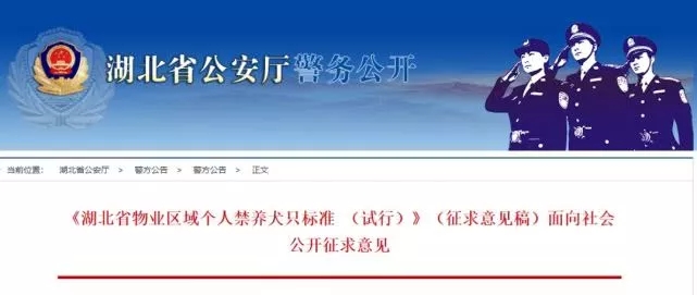 湖北最严禁犬令是什么情况?意味着什么?这35种狗狗都在名单上