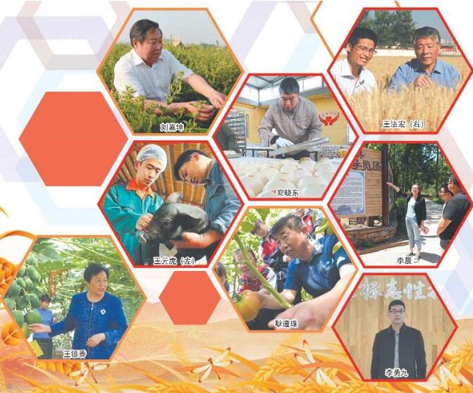 扭住“总抓手”,乡村振兴谱新篇