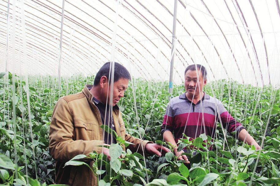 听民声 谋民生 这些基层干部群众许了个愿