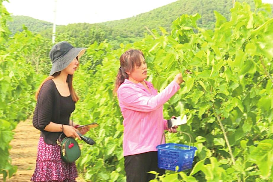 大众创业绽放民营经济之花