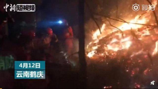 抽烟引发森林火灾构成失火罪 法庭决定作从重处罚