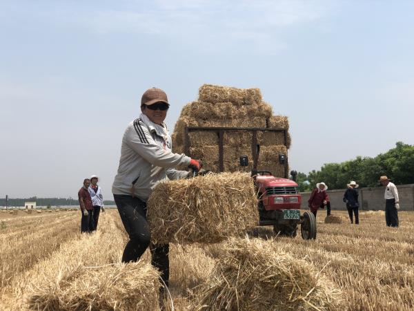 百名青年记者走基层