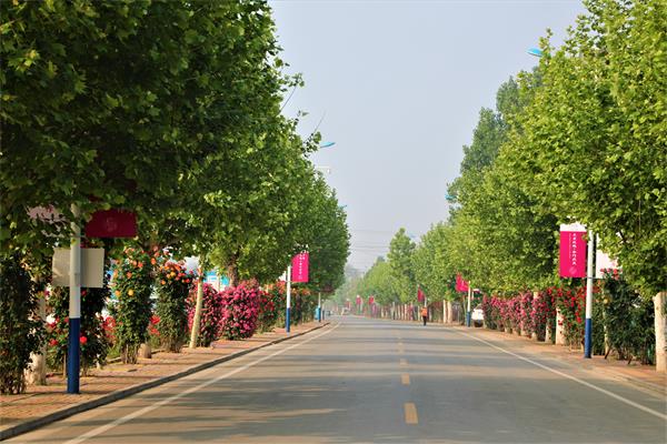 百名青年记者走基层