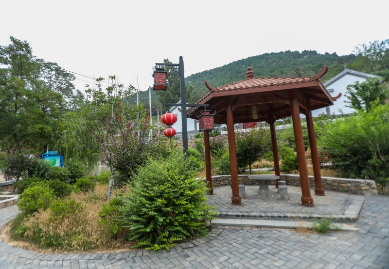 百名青年记者走基层