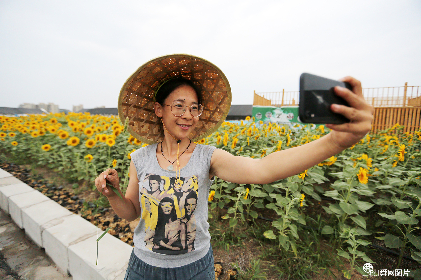 郑州一商场楼顶现3000平方米向日葵 养兔吃草引市民围观