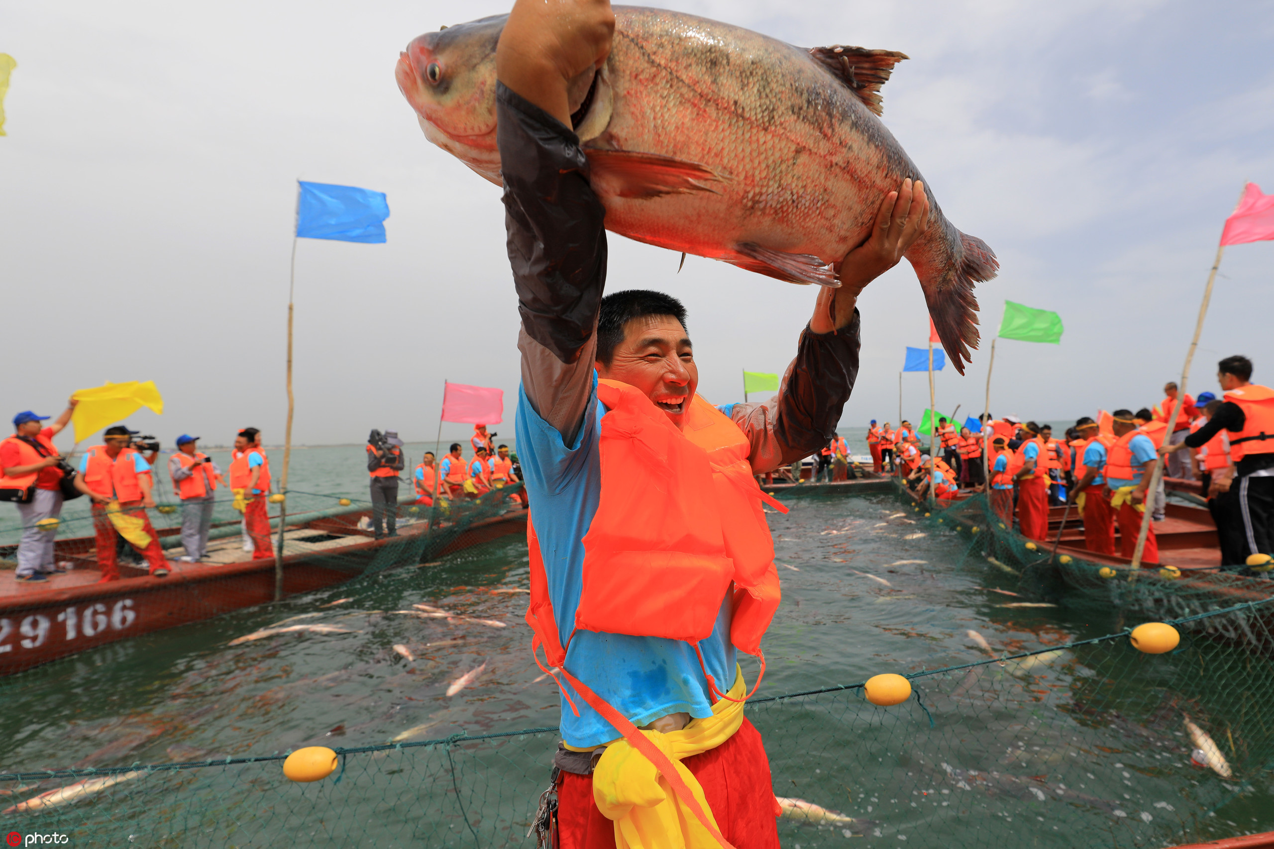 新疆博斯腾湖开湖捕鱼,鱼儿跳得欢 乐坏渔民!