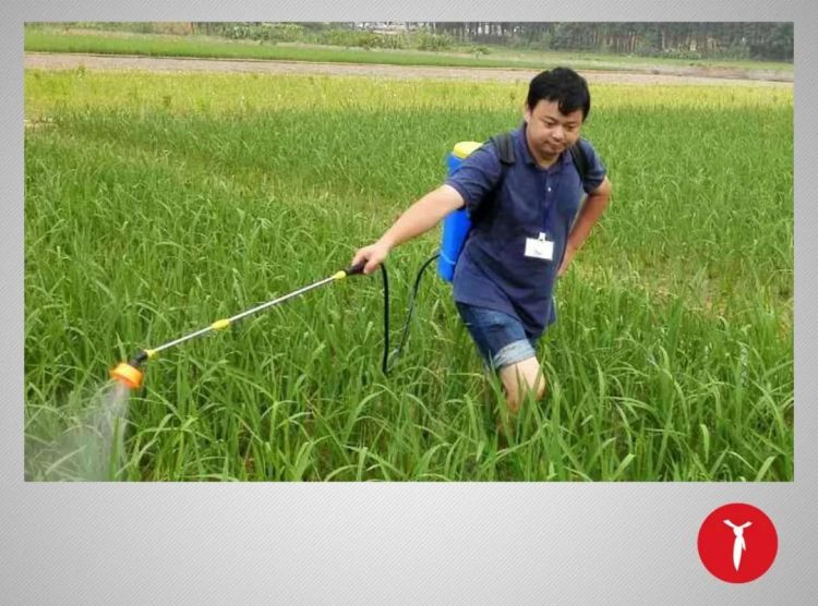 新青年丨中国人端中国碗，中国碗装中国粮！