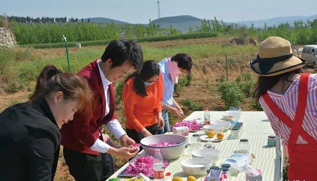 百名青年记者走基层