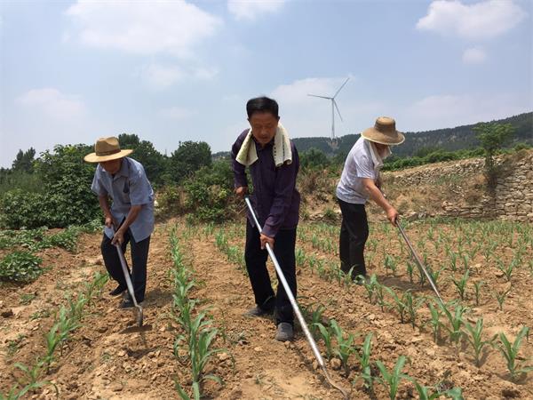 百名青年记者走基层