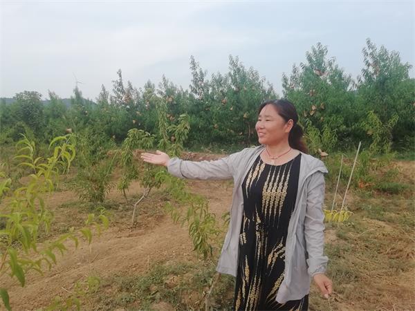 百名青年记者走基层