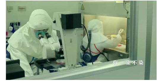 （视频）我在国门承诺