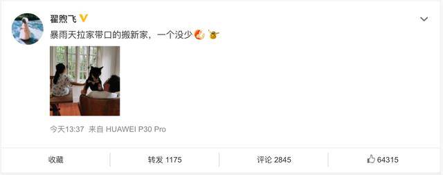 不攻自破！雷佳音妻子回应 疑似辟谣雷佳音与佟丽娅的绯闻
