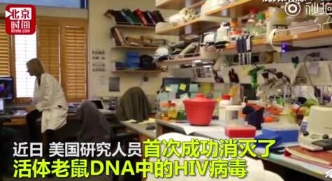 基因编辑清除HIV 将有可能拯救绝症令人期待最终成果!
