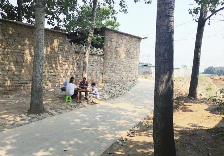 青年记者走基层