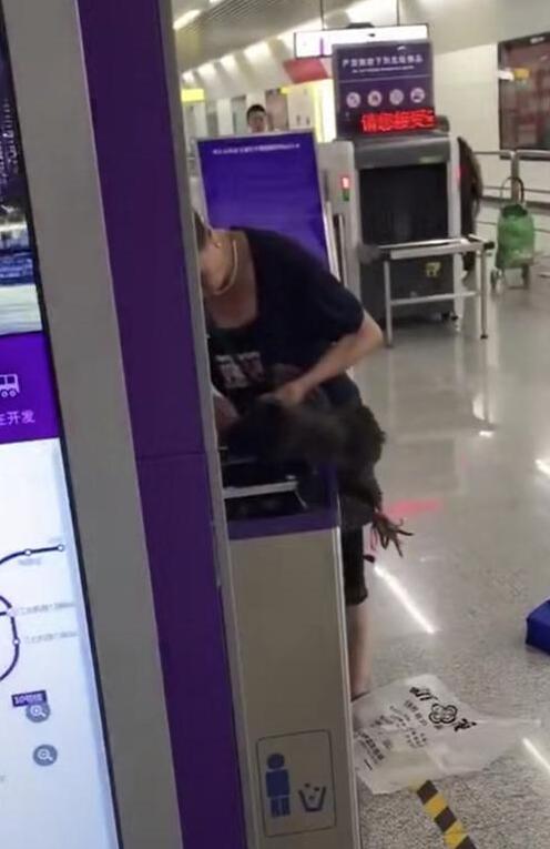 宇宙无敌硬核！大妈带活鸡进地铁 被拦后竟然当场杀鸡也是醉了