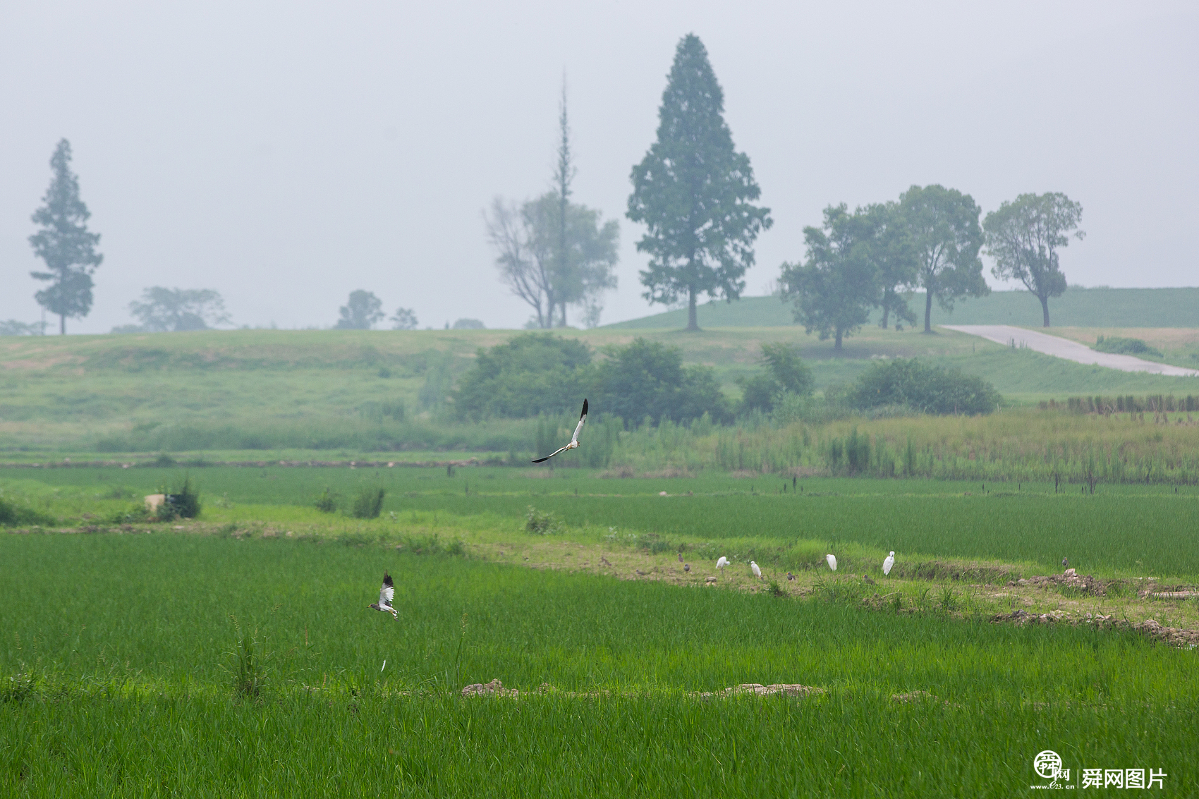 “良渚古城遗址”申遗成功 正式列入《世界遗产名录》