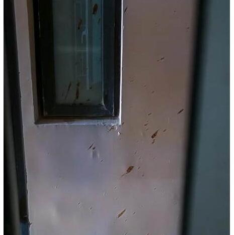 大便从天而降飞进厨房怎么一回事?愤怒之后他默默将粪便留了起来