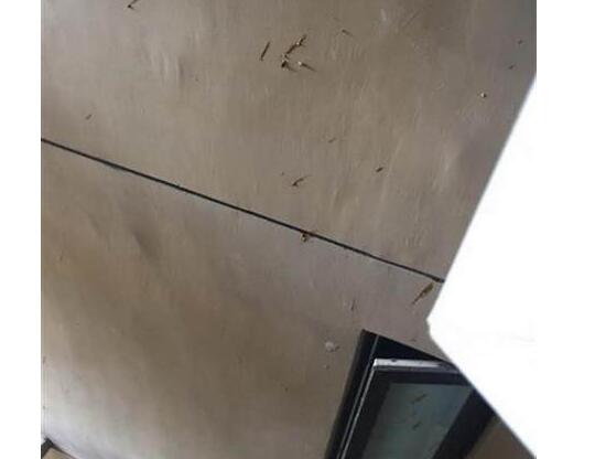 大便从天而降飞进厨房怎么一回事?愤怒之后他默默将粪便留了起来