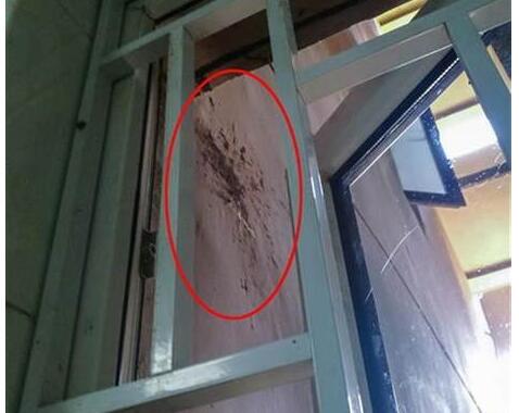 大便从天而降飞进厨房怎么一回事?愤怒之后他默默将粪便留了起来