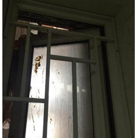 大便从天而降飞进厨房怎么一回事?愤怒之后他默默将粪便留了起来