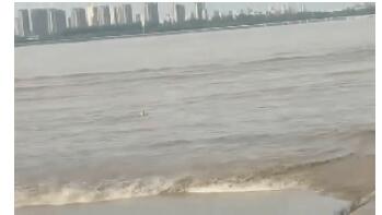 3人被钱塘江冲走2人生还1人确认死亡 有市民崩溃大哭发生了什么